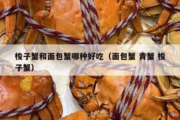 梭子蟹和面包蟹哪种好吃（面包蟹 青蟹 梭子蟹）