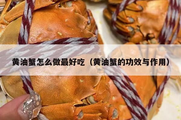 黄油蟹怎么做最好吃（黄油蟹的功效与作用）
