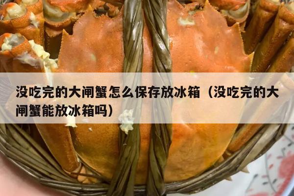 没吃完的大闸蟹怎么保存放冰箱（没吃完的大闸蟹能放冰箱吗）