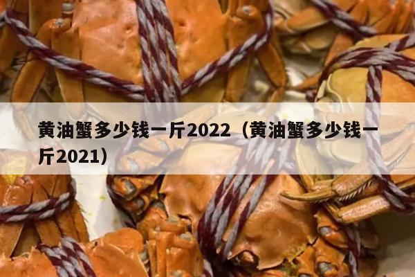 黄油蟹多少钱一斤2022（黄油蟹多少钱一斤2021）
