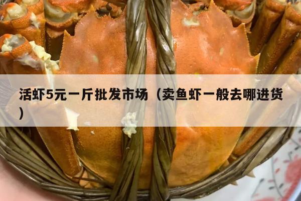 活虾5元一斤批发市场（卖鱼虾一般去哪进货）